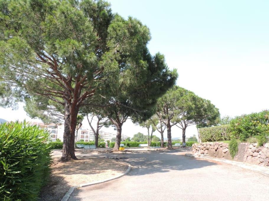 Ginkgo Studio - Piscine, Proche De La Mer, Golf, Wifi Mandelieu-La Napoule Exterior photo